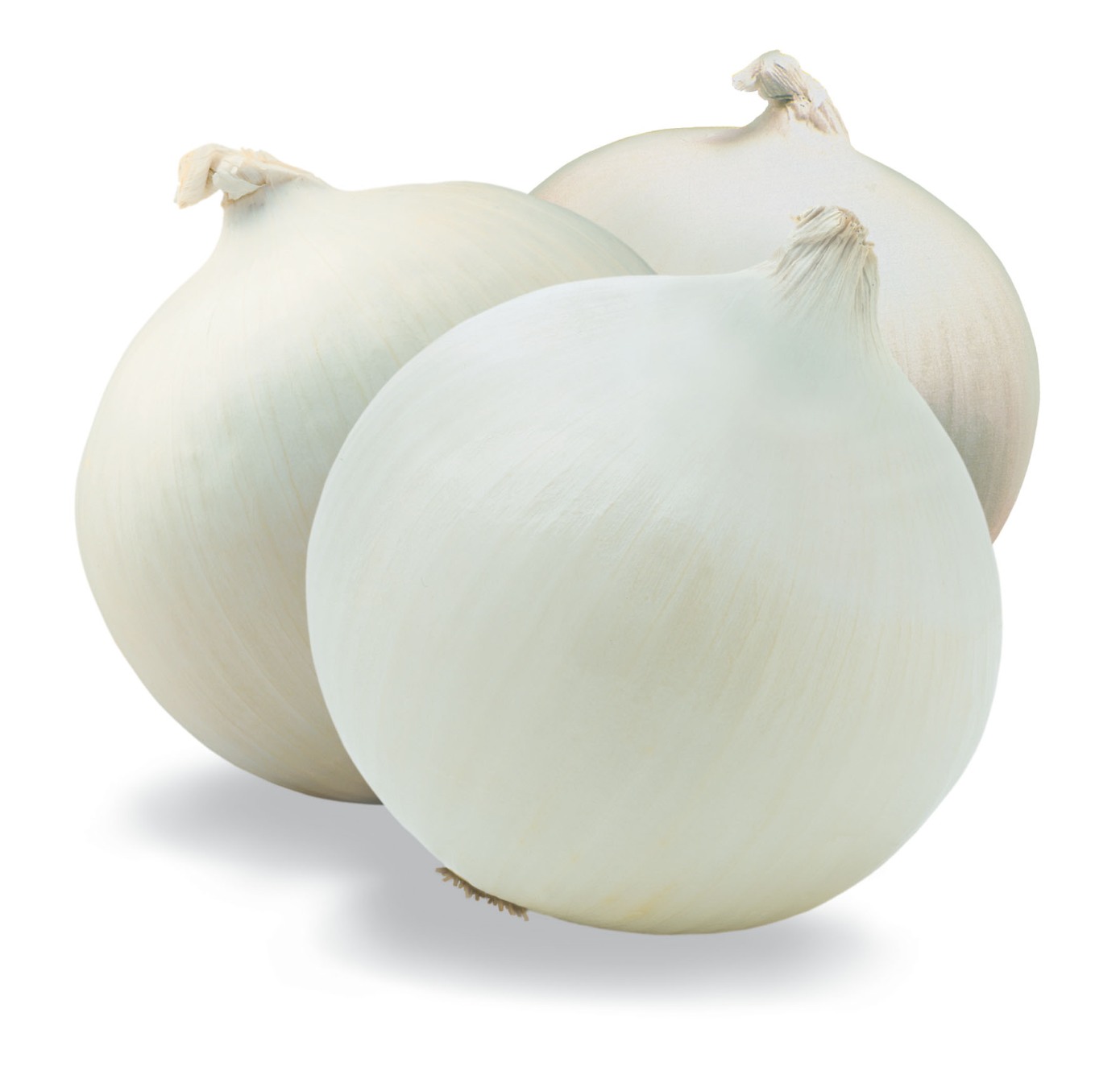white_onions.jpg